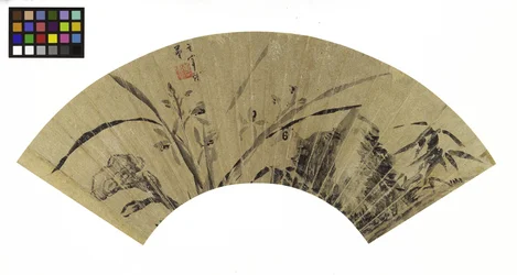 Orchideen, Pilz und Felsen